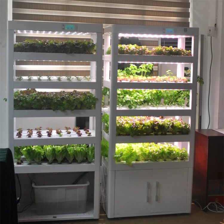 Urban Farm Indoor Smart Hydroponic Greenhouse Vertical Microgreen ...