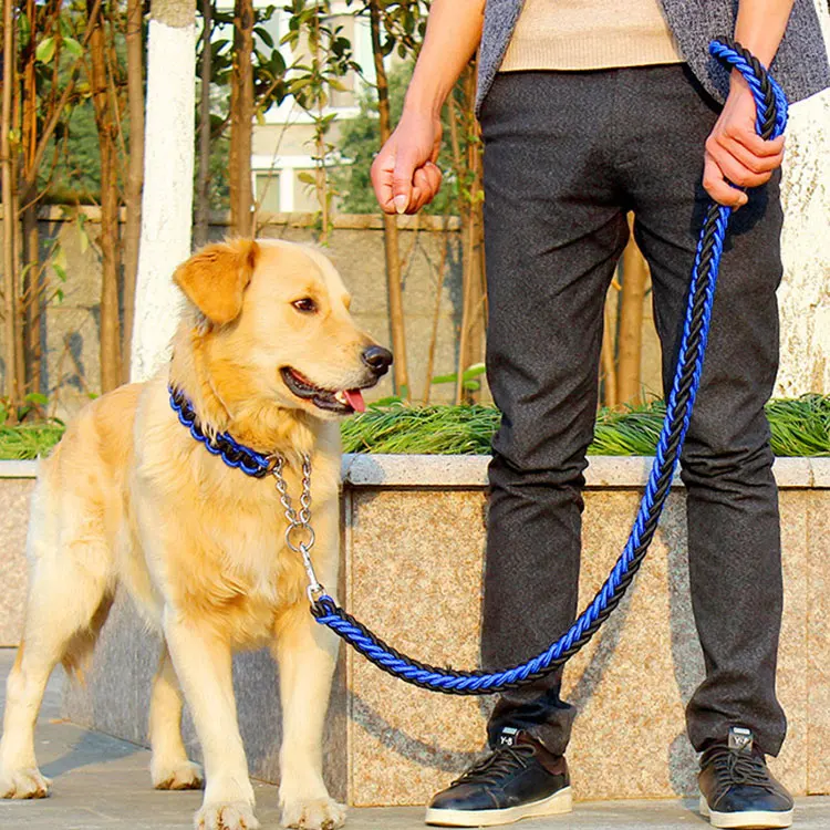dog training leash (2).jpg