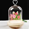 Decorative Transparent Bell Jars For Sale W/Wooden Cork Base Home Study Room Decor