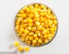 /product-detail/ifs-canned-sweet-corn-for-delicious-recipes-577317124.html