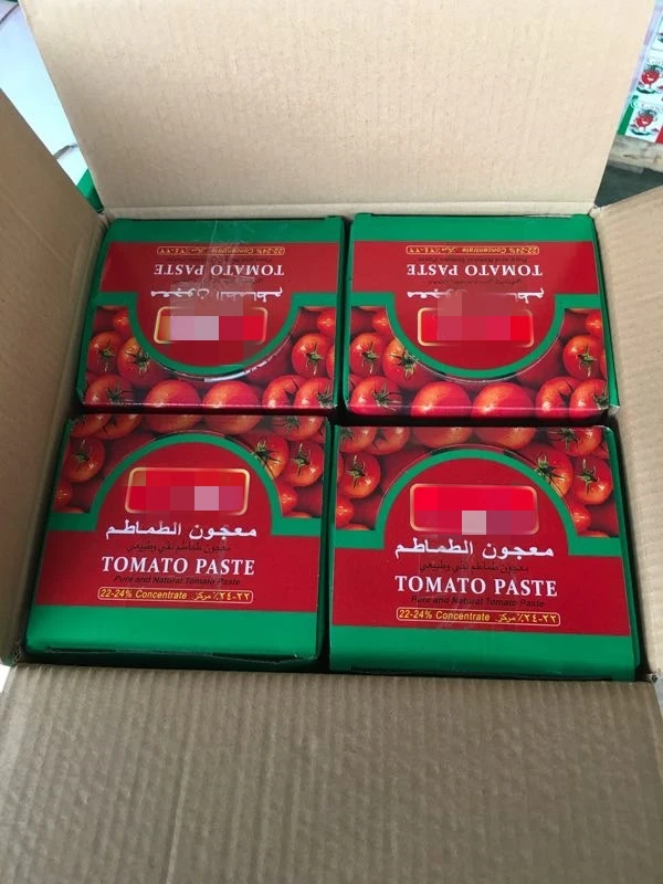 Sachet Tomato Paste Al Mudhish With 22 24 Brix 70g In Pouch Buy Sachet Tomato Pastetomato 2367