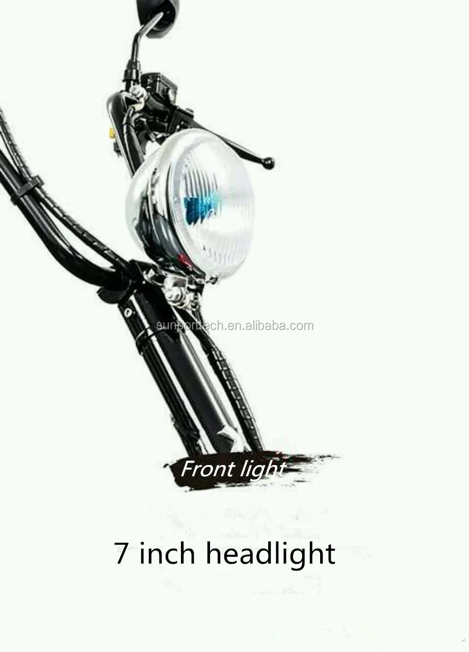 citycoco scooter_5.jpg