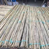 100% Raw bamboo poles in bulk bamboo poles vietnam
