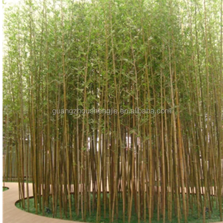 Sj13001217 High Imitation Black Bamboo Tree Fake Bamboo Poles