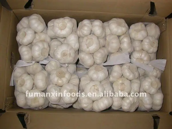 pure white garlic 500gX20 in carton.JPG