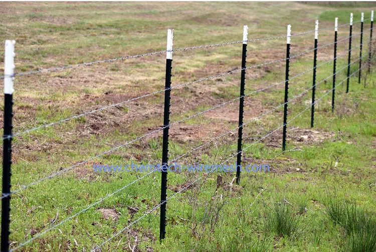 Cattle Field Fence Used10ft T Post /galvanized T Fence Post Buy