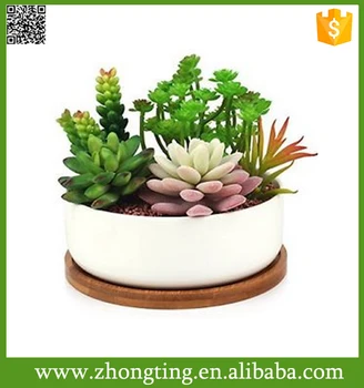 Decorative White Small Ceramic Cactus Plant Oval Shape Flower Pot