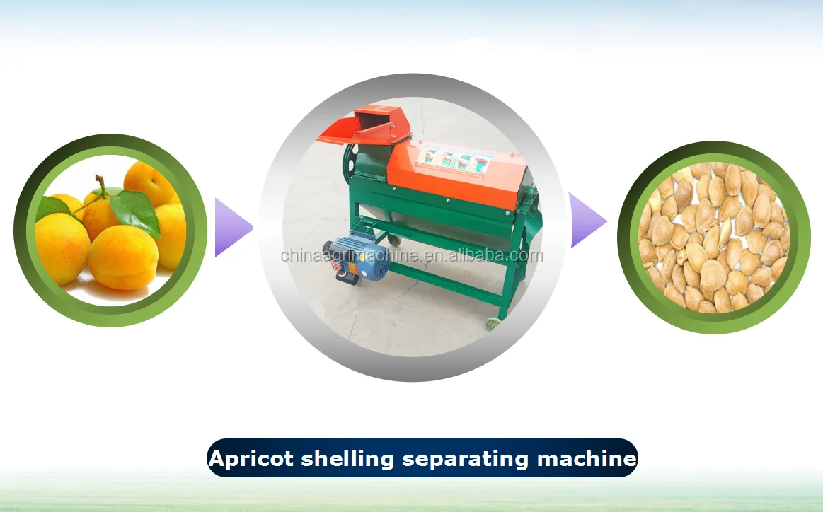 Almond Peeling/shelling Machine /almond Breaker Machine Buy Almond