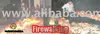 Firewalking service, Berjalan di atas Bara training Api service