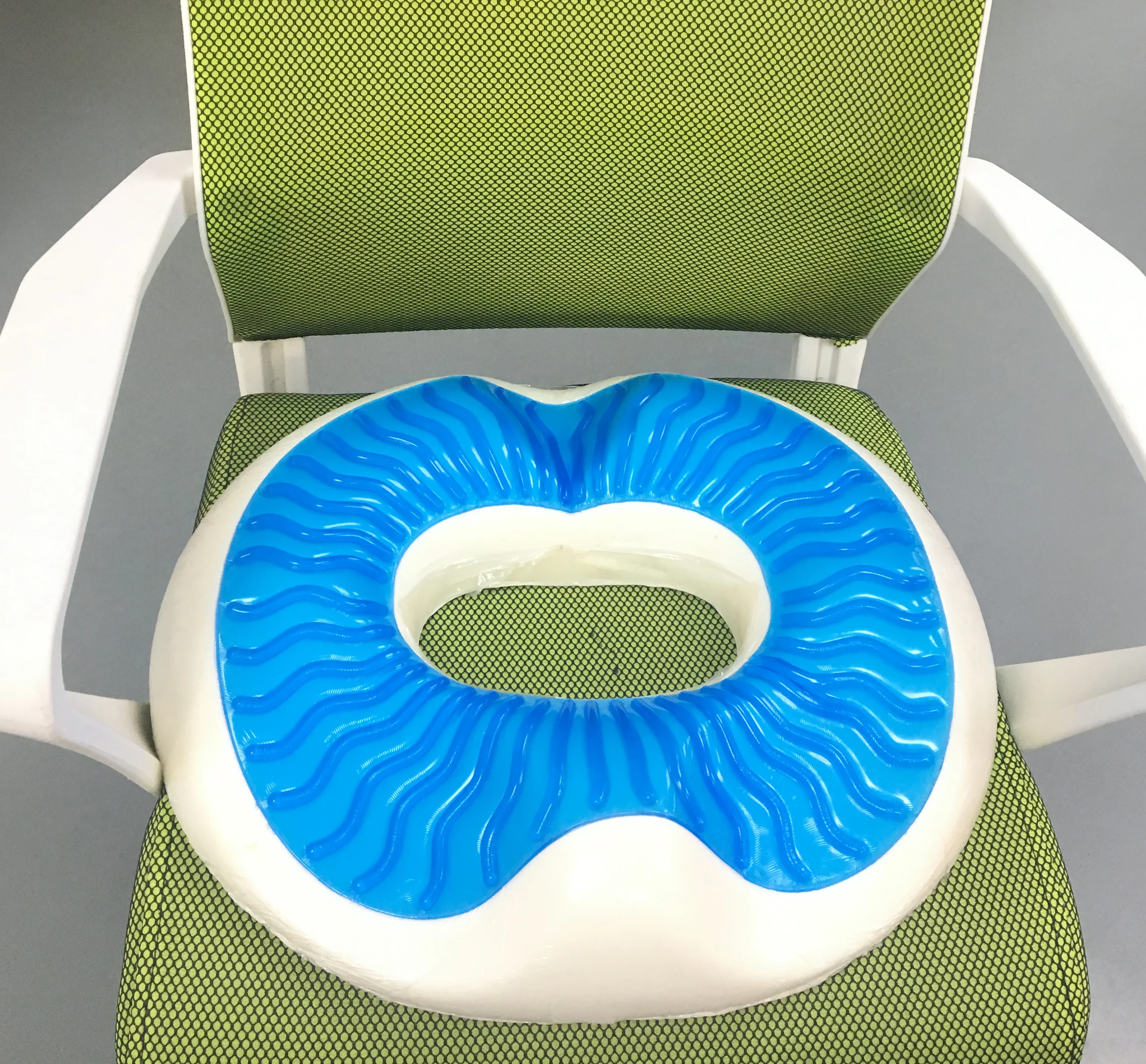donut seat cushion.jpg