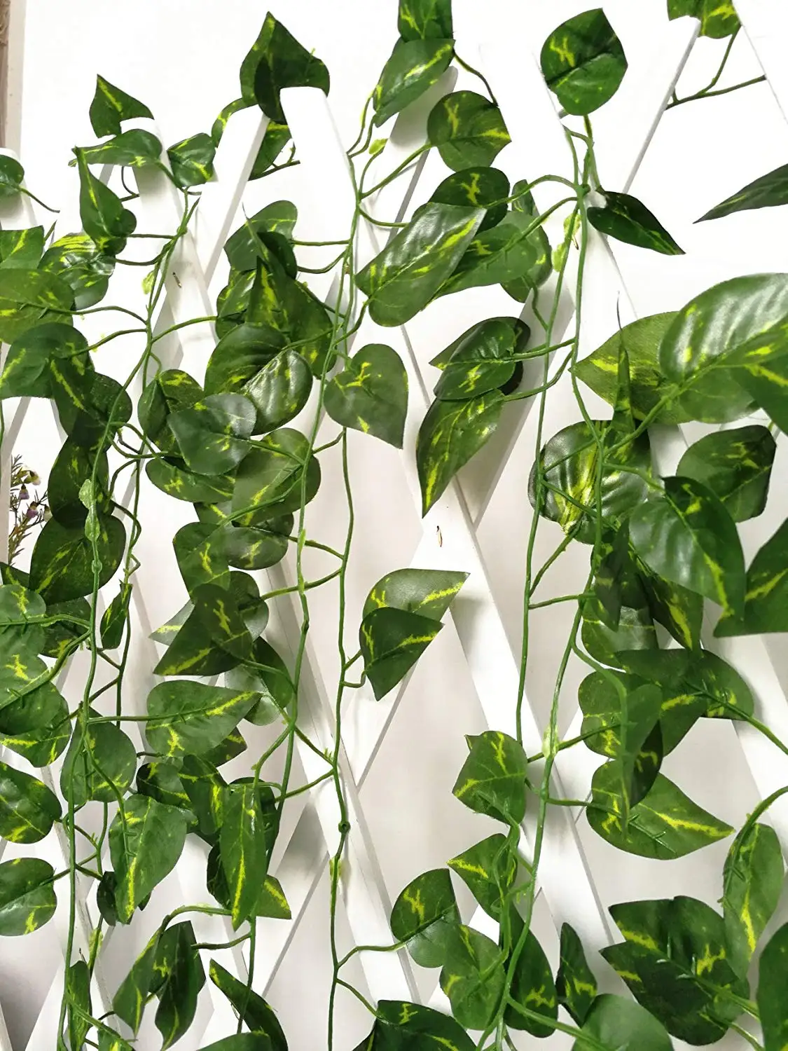 Cheap Indoor Plants Ivy, find Indoor Plants Ivy deals on line at