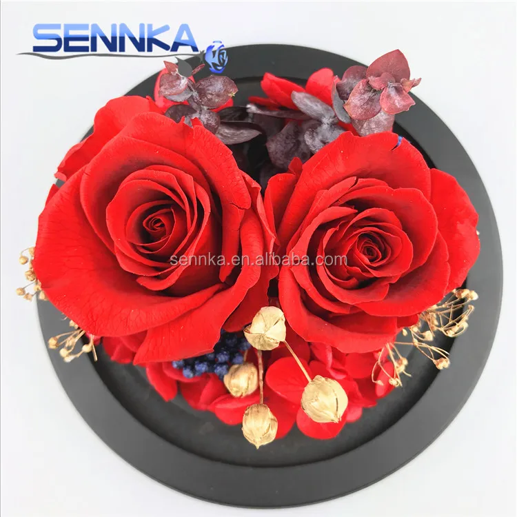 roses preserved in glass