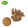 Pure natural coptis root extract/Coptis chinensis powder High quality coptis root extract powder