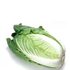 Fresh Chinese Cabbage Raw materials for Korean Kimchi