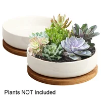 

Succulent Pots White Ceramic Flower Planter Pot with Bamboo Tray