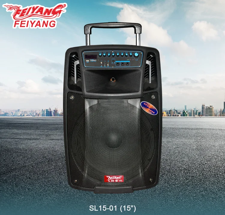 feiyang temeisheng 15 inch best rechargeable portable speaker with two wireless mic bt usb sd fm radio