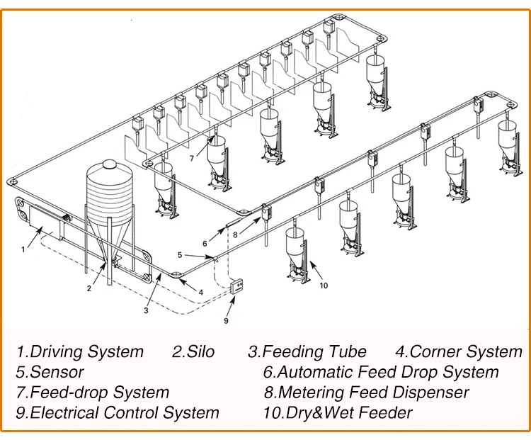 Goldenest Animal Husbandry And Pig Raising Equipment Automatic