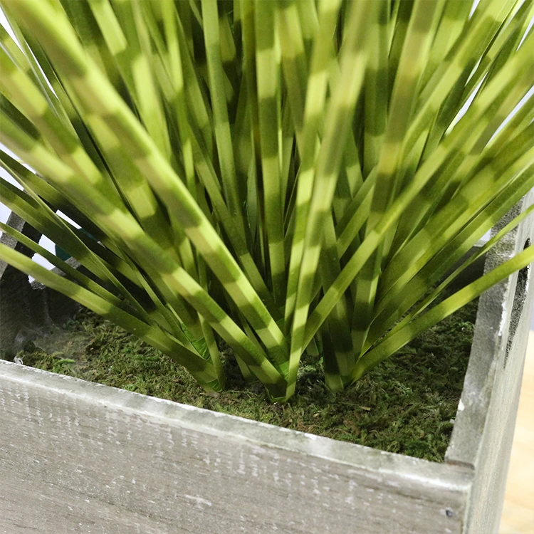 69厘米木锅设计斑马草塑料洋葱草装饰人造稻草