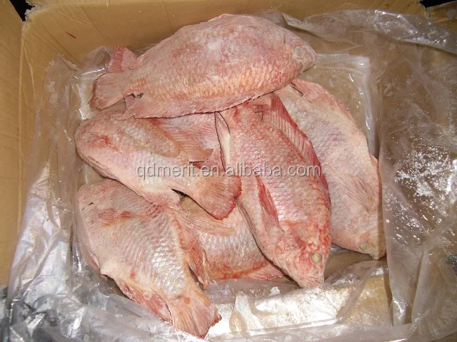 Đ&ocirc;ng lạnh Đỏ C&aacute; R&ocirc; Phi Gutted v&agrave; Thu Nhỏ