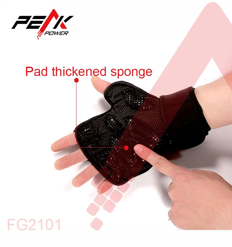 FG2101-2.jpg