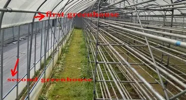 mushroom greenhouse