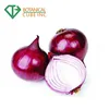 New Design Quercetin Onion Extract Powder, High Quality Red Onion Peel Extract