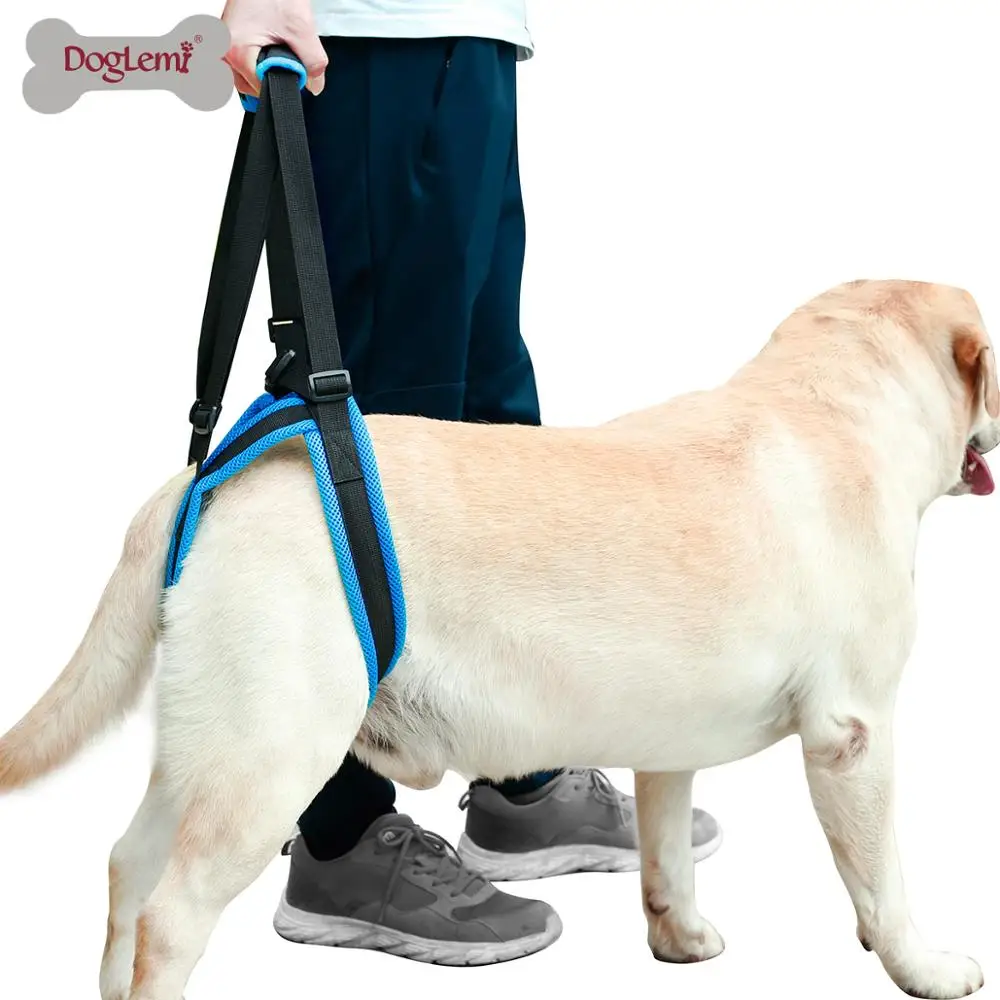 

Dog Lift Harness for Back Legs Pet Support Sling Help Weak Legs Stand Up, Blue