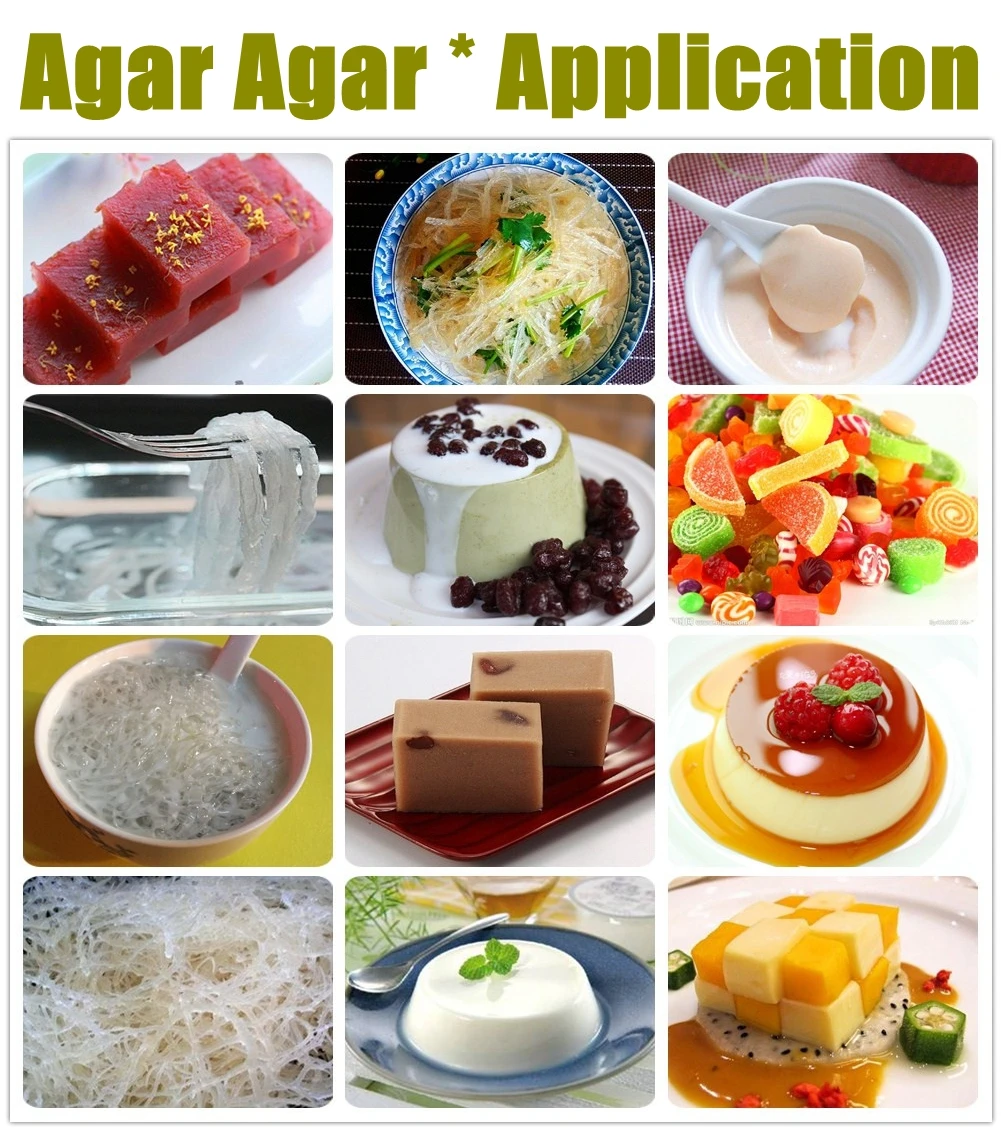 agar agar (81).jpg