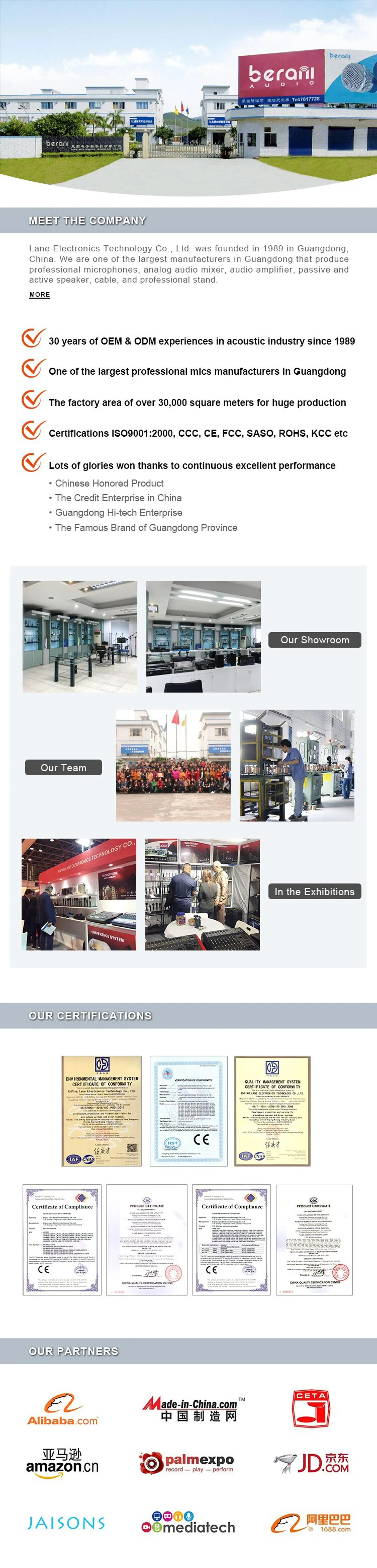 Berani Bm94 Retro Style Condenser Recording Studio Equipment