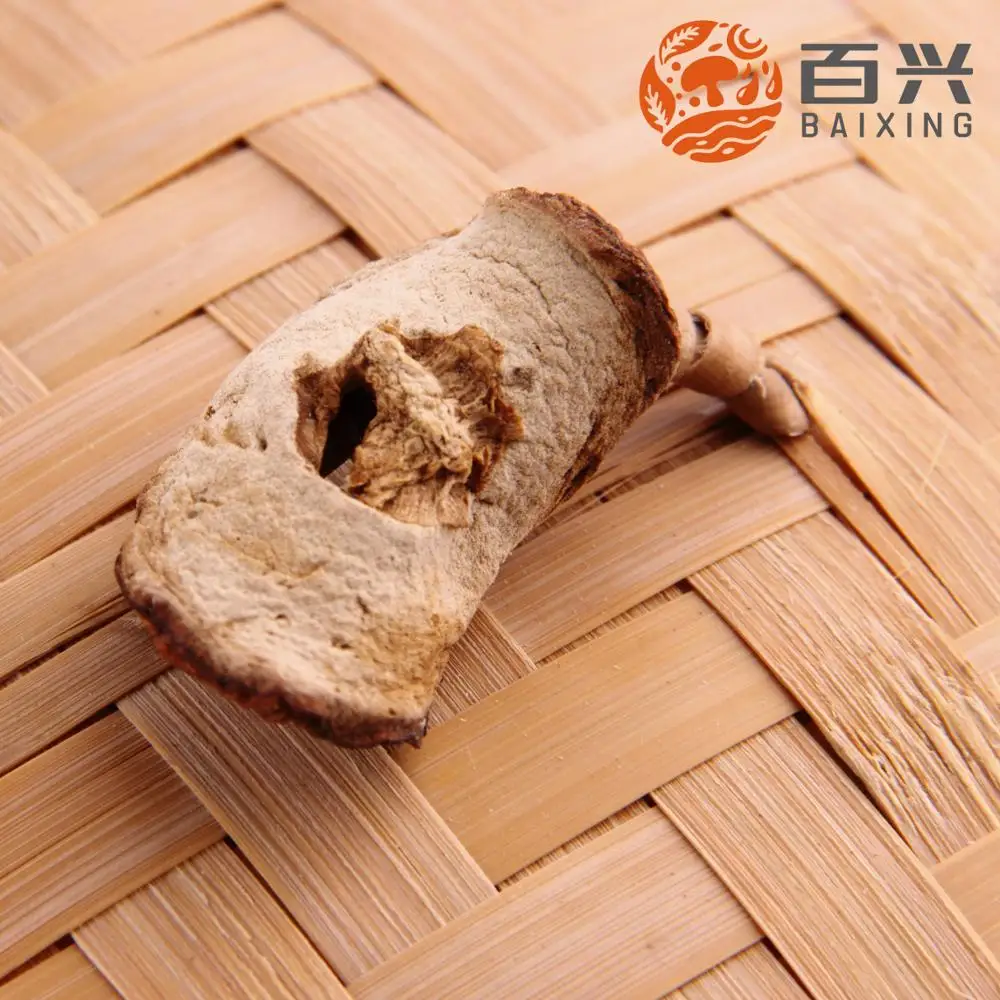 
Wholesale wild frozen boletus edulis mushroom price 