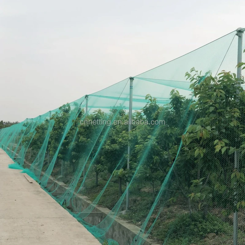 Pool Cover Pond Netting Protective Cover Netting Pond Skimmer Net With