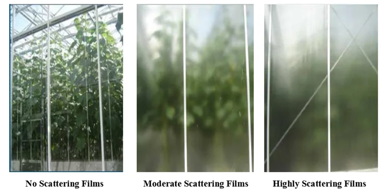 Agricultural Commercial Garden Use Greenhouse film for sale