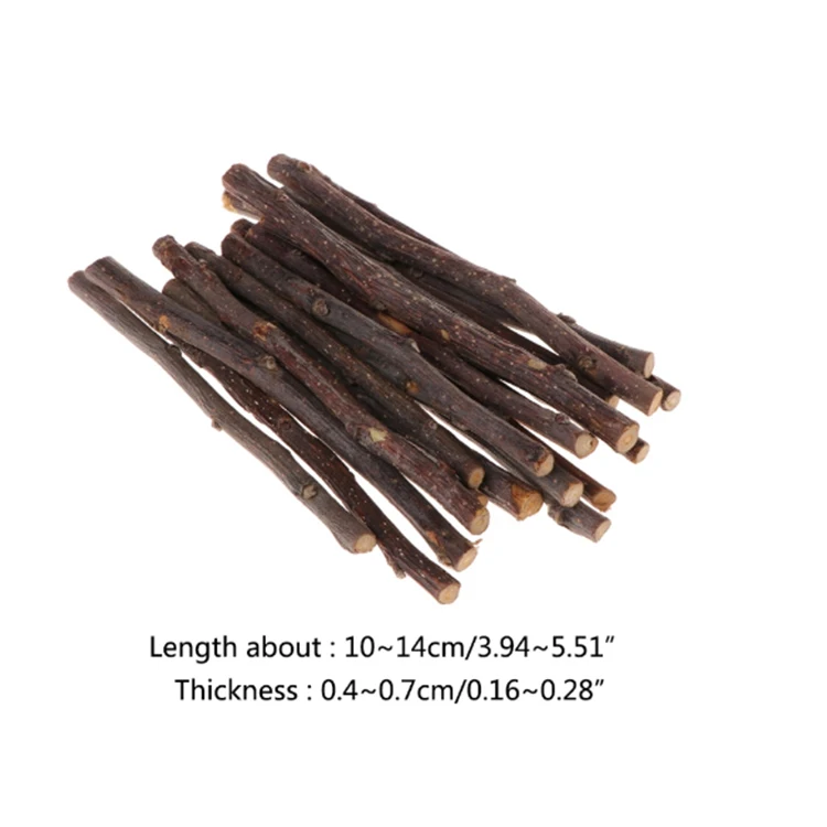 safety chew stick apple tree branch hamster squirrel natural