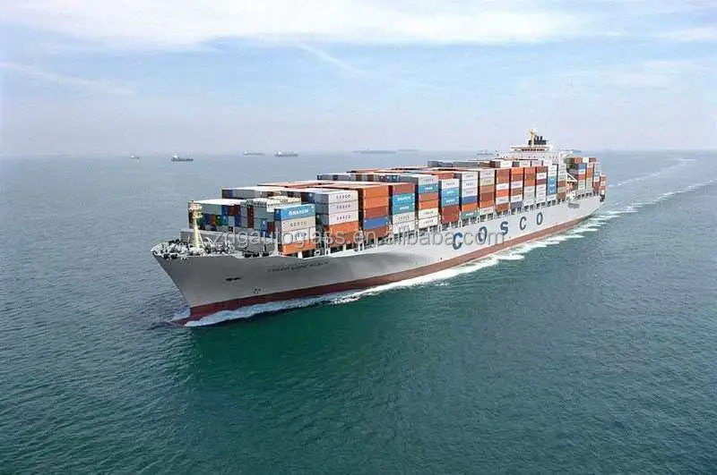 20106116113496736985