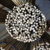 Bamboo pole support tree growing
