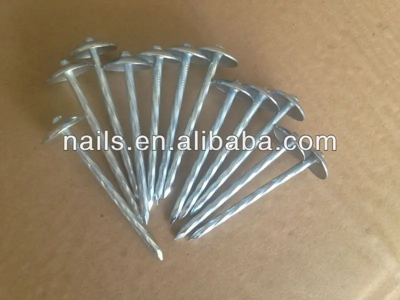 Zinc Coated Roofing Nails Used For Roofing Construction Buy Roofing