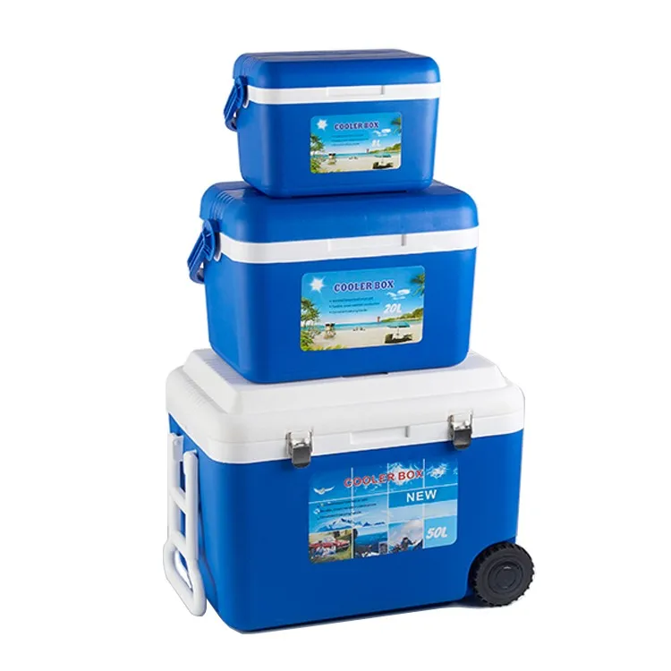 travel box for cold storage