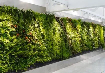 10_large wall