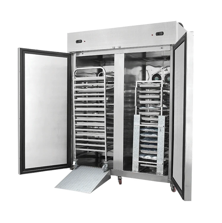 立式不锈钢1000升深冰商用冰柜