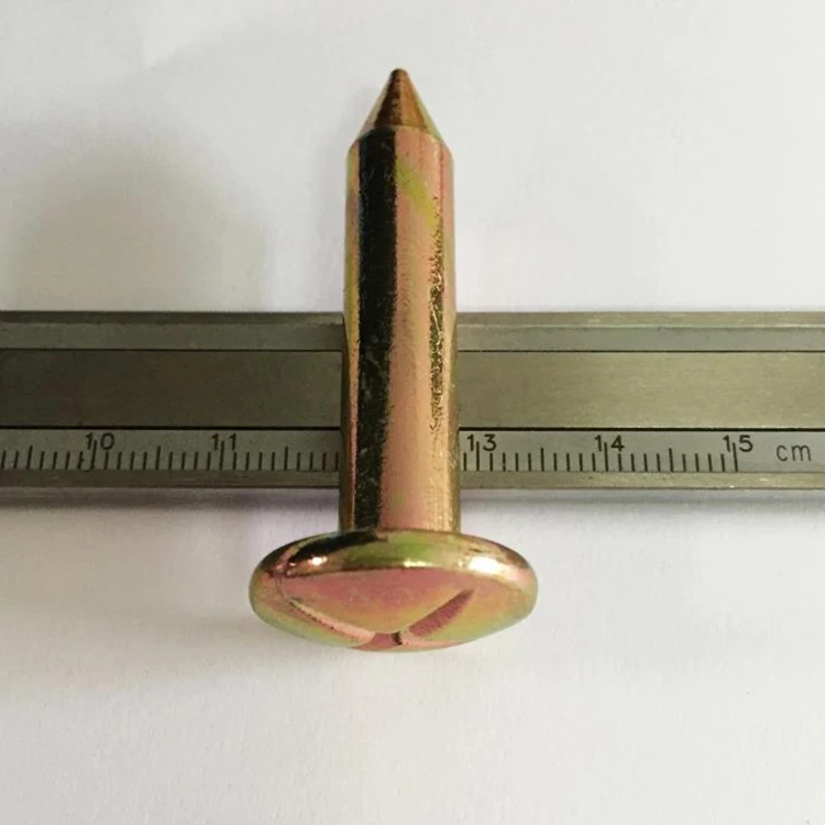 Surveying Nail 5.jpg
