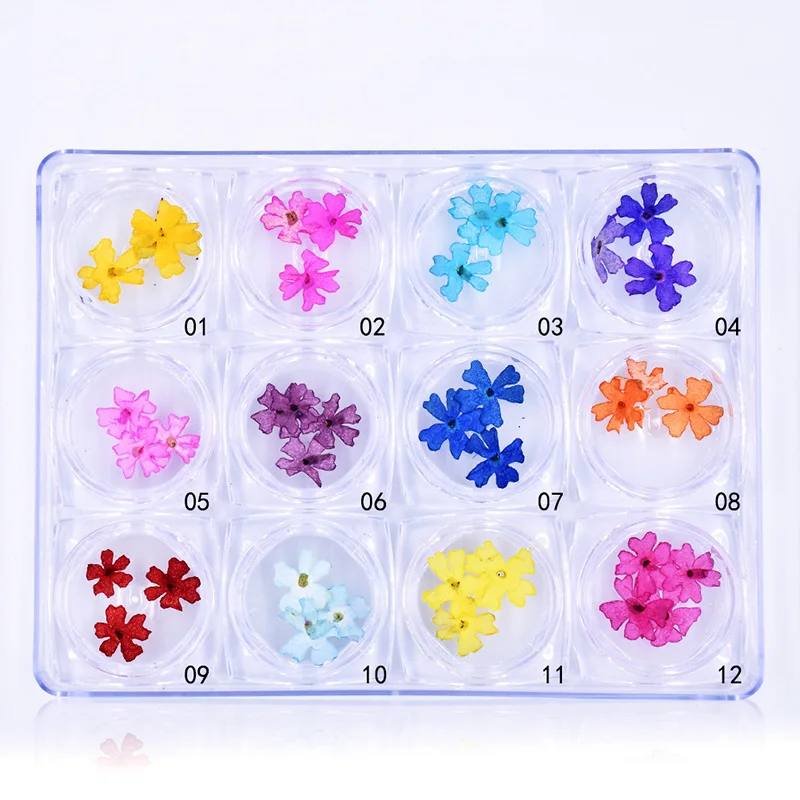Wholesale 36pcs Dried Real Flower For Nails Art Decoration Nail Beauty