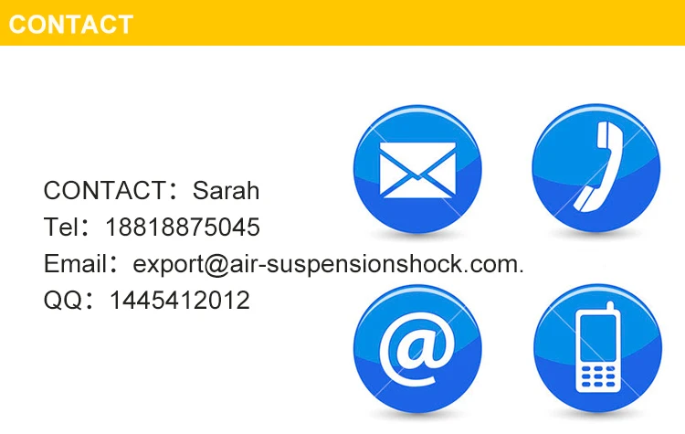 shock absorbers rear w220