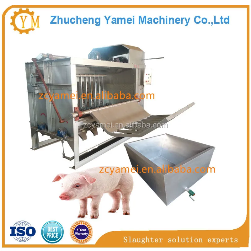 
pig dahairing machine /pig slaughter machine 
