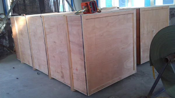 big case4.jpg
