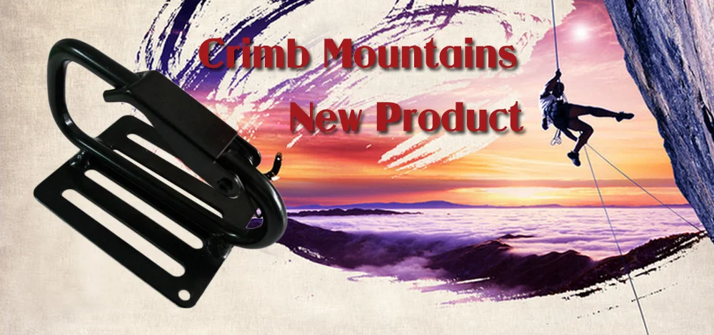 Stainless Steel 316 Snap Hook Outdoor Sport Climbing D Type Snap Hooks With Plate Used With Strap