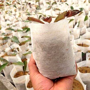 Bezant Biodegradable PP non woven grow bags for plant growing bag nursery and root control