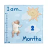 Soft flannel blanket manufactures monthly milestone baby blanket