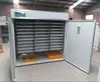 Lydia chang egg incubator for 3168 chicken eggs