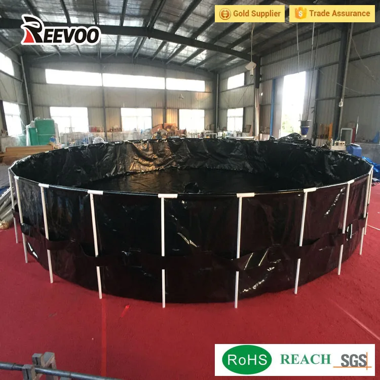 CANVAS FISH TANK.jpg