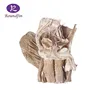 Plastination specimen of male pelvic cavity for Medical Science